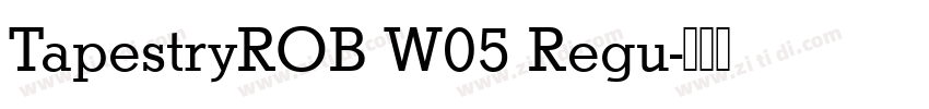 TapestryROB W05 Regu字体转换